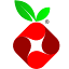 Pi Hole logo