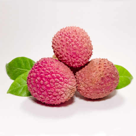 Lychee Logo