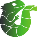 Midori Desktop Logo