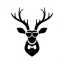 Easyspider logo